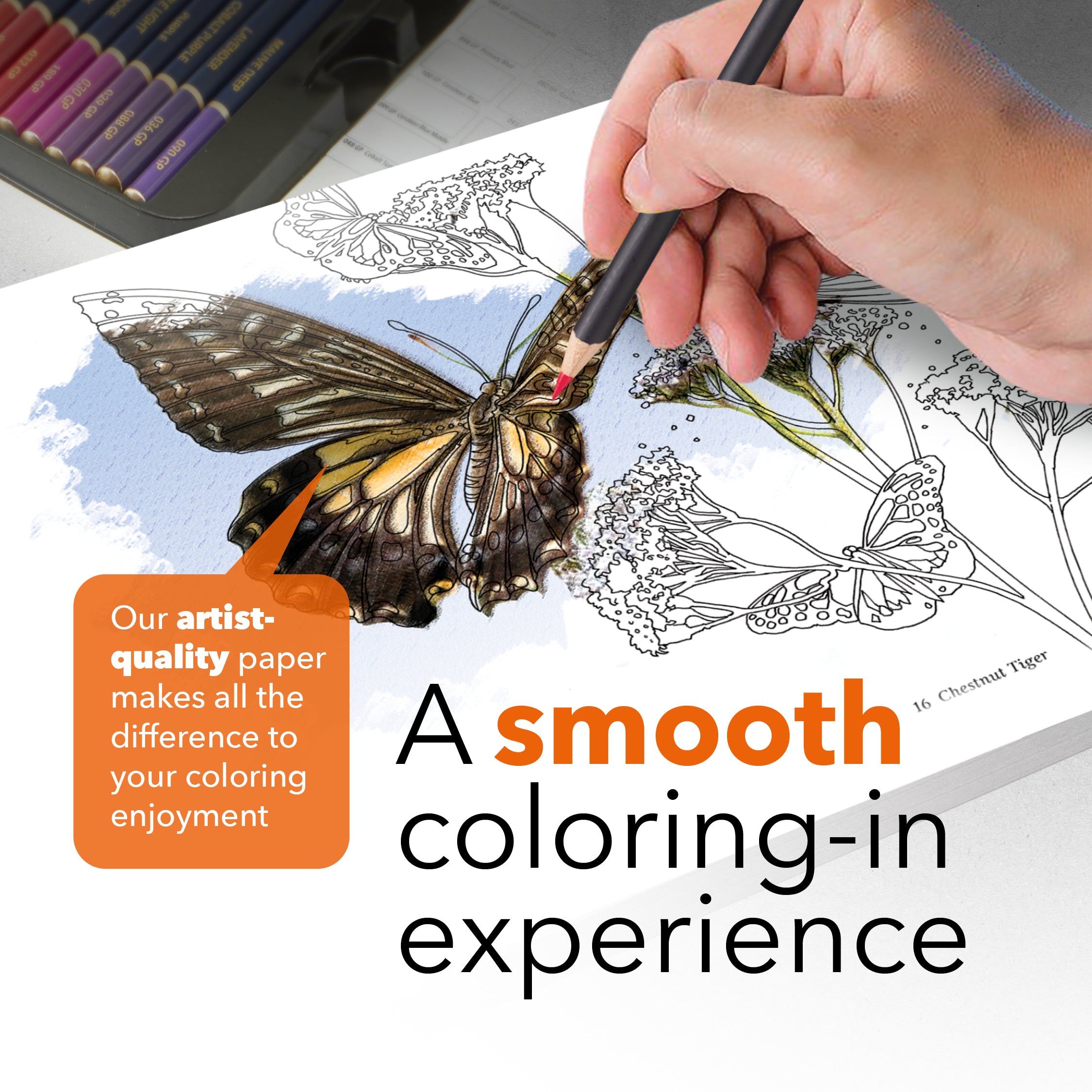 72 Page Amazing Butterflies Coloring Book