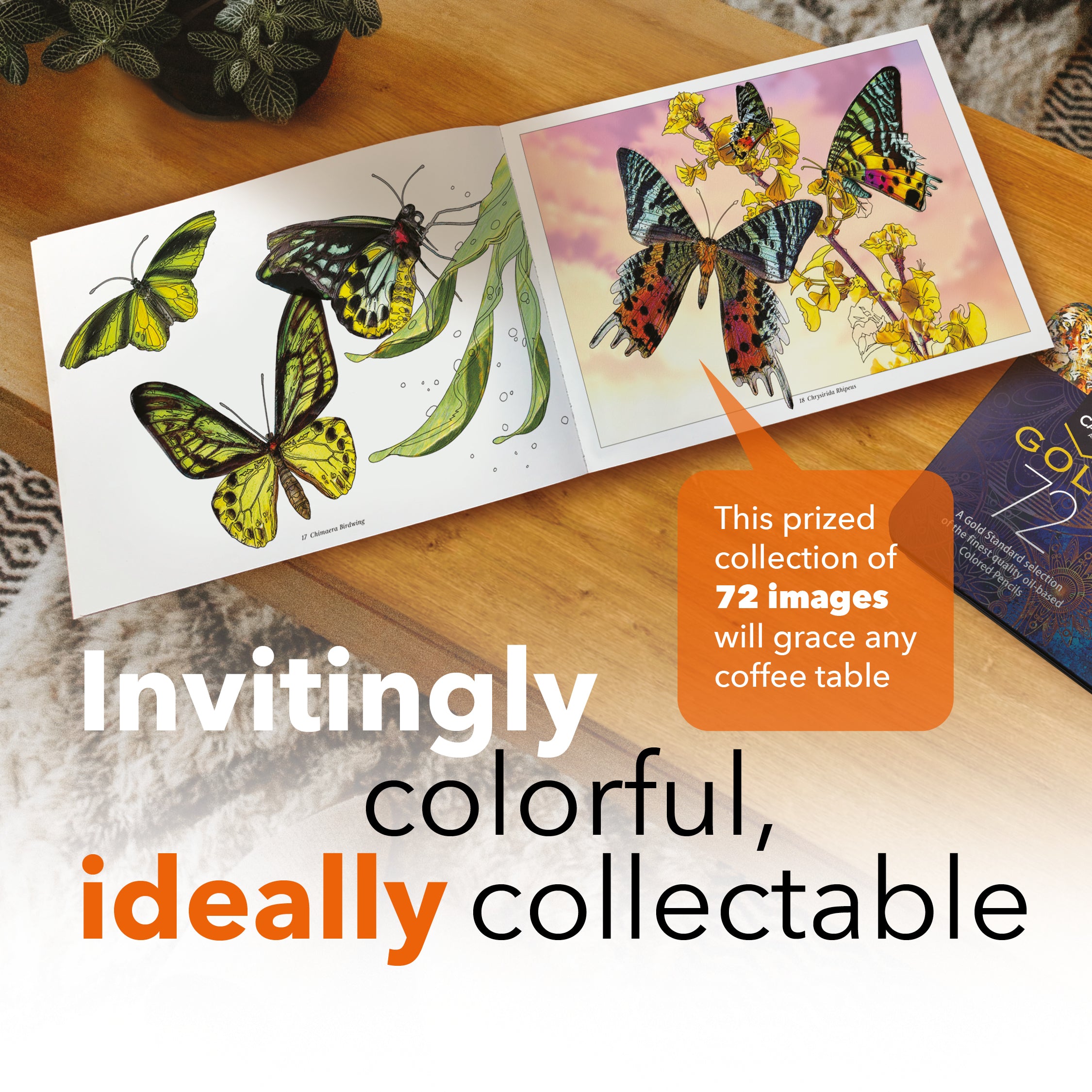 72 Page Amazing Butterflies Coloring Book