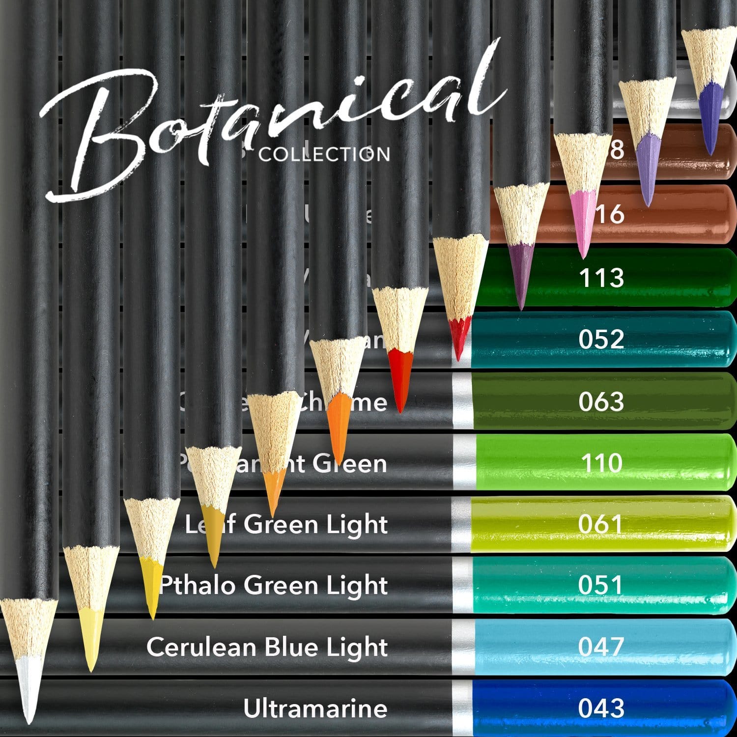 24 Piece Botanical Colored Pencil Set in Display Tin