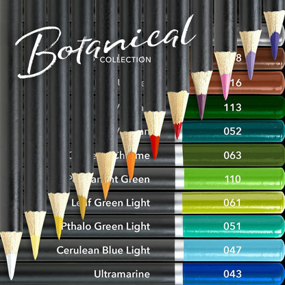 24 Piece Botanical Colored Pencil Set in Display Tin